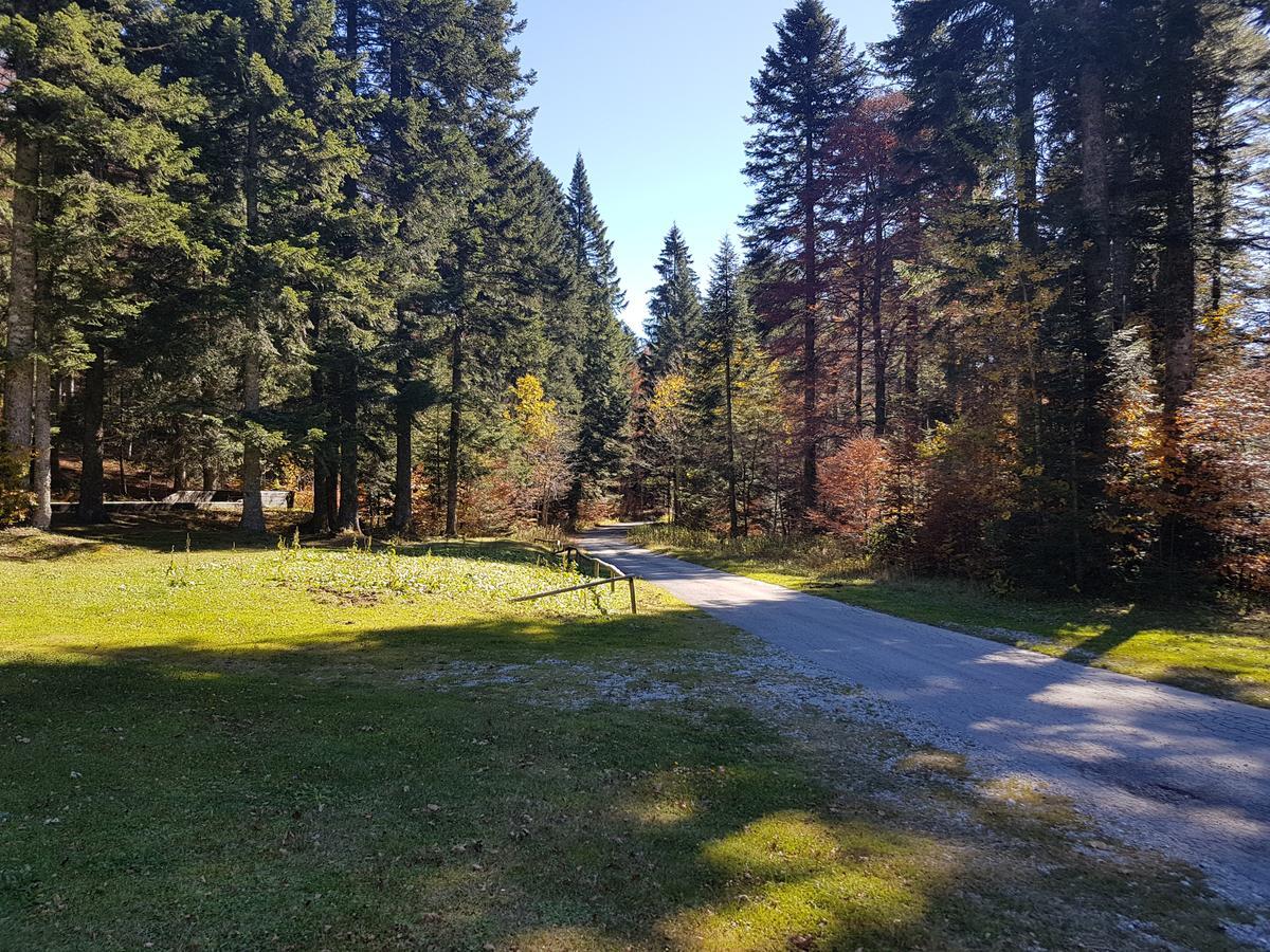Chalet Calla Mrkopalj Exteriör bild